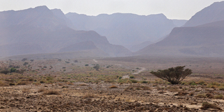 Одинокий странник