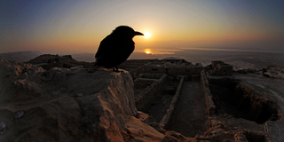 Рассвет на Масаде