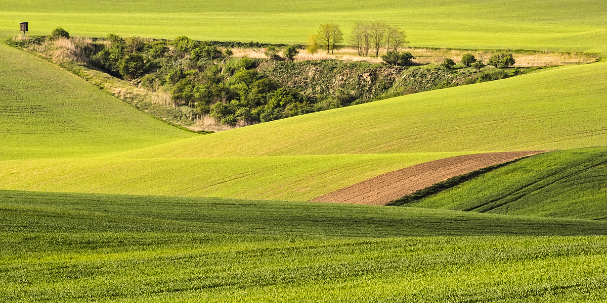 Шовкові простирадла
