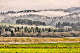 Після дощу - 2