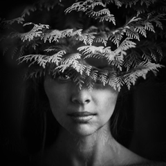 цвет папоротника