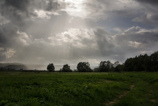 Дмитровичі