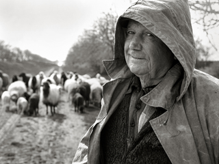 Добрый пастух