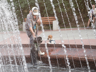 Жара в городе