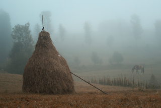 Туман в Карпатах