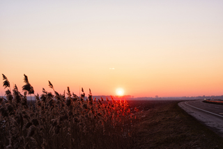 Запалені сонцем