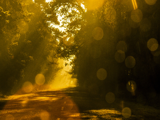 Дорога на світанку