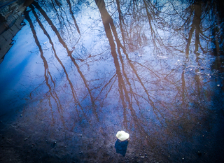 Про самотню крижинку