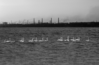 Природа нашого краю