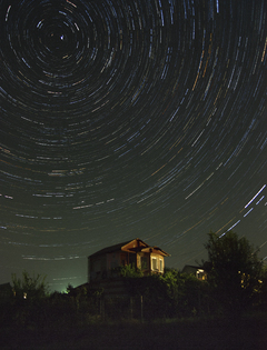 Ніч у Петрику