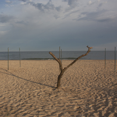 Покинутий табір