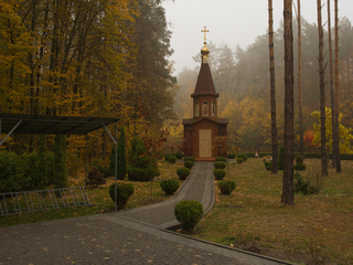 м.Костопіль. Музей лісу