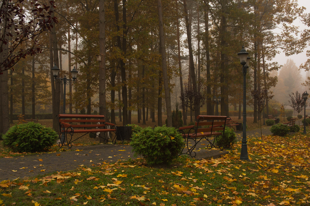 м.Костопіль. Музей лісу