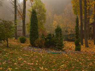 м.Костопіль. Музей лісу