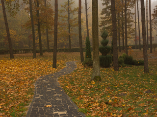 м.Костопіль. Музей лісу