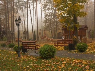 м.Костопіль. Музей лісу