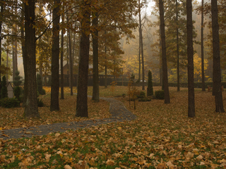 м.Костопіль. Музей лісу