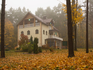 м.Костопіль. Музей лісу