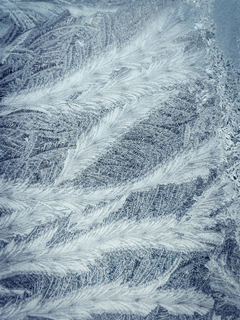 Морозний узір