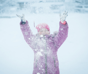 Снігова експресія