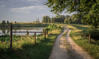 Грунтова дорога