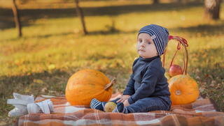 Гарбузовий сезон