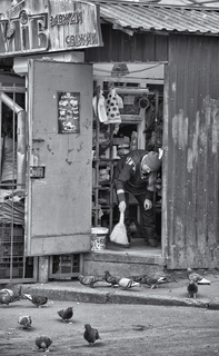 Завжди свіжий