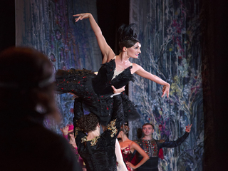 Лебедине озеро