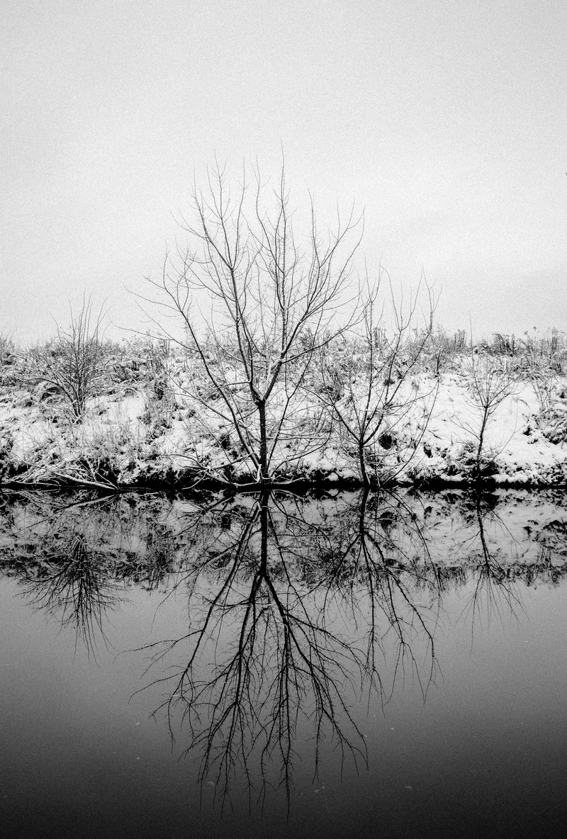 Світло і тінь