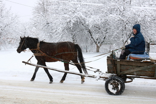 Краще б сани