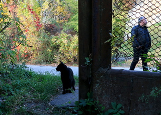 Свобода і обмеження