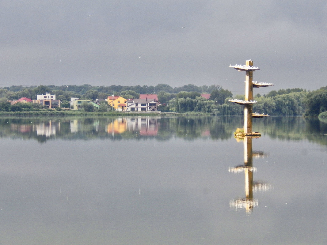 ранковий базар на вежі