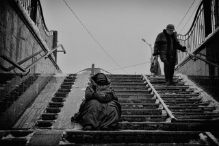 Зимовий сон