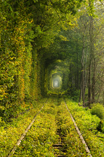 Дивовижний тунель