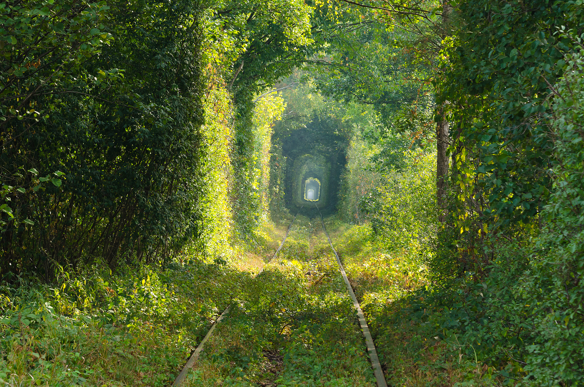 Світло й тінь