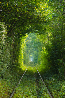 Ворота в тунель