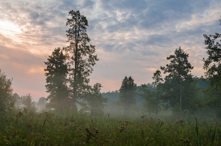 Серпневий ранок