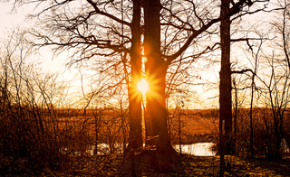 Захід на березі річки