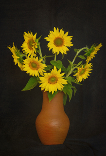 Натюрморт. Соняхи