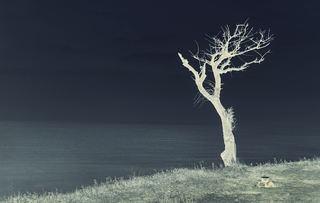 Чорноморський мінімалізм