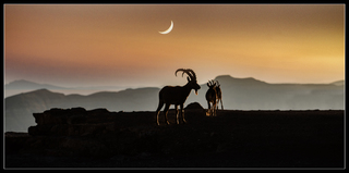 Night in the mountains