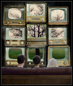 Our Communion with Nature