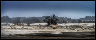 Road from the window
