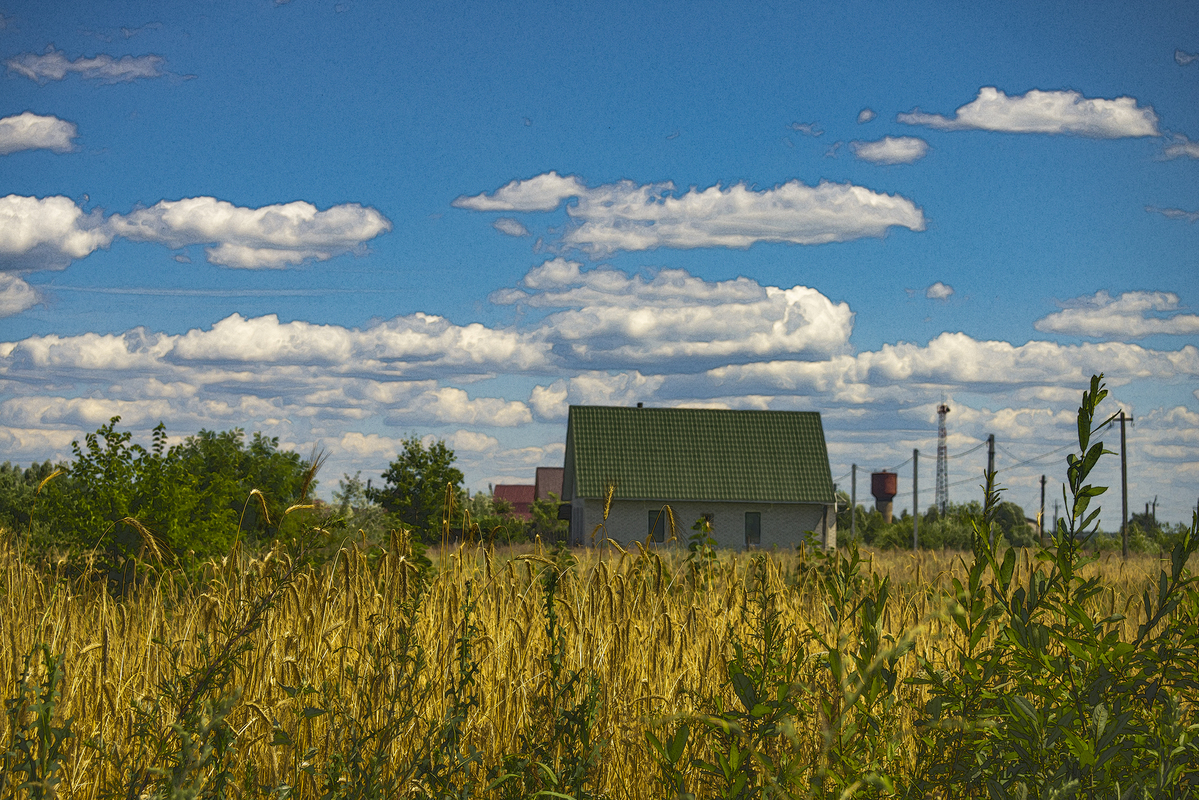 Пекучий день