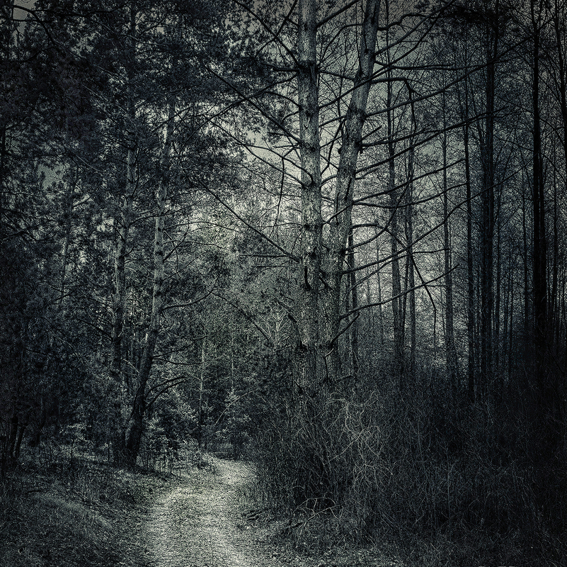 Древлянський шлях