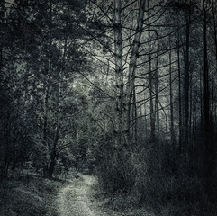 Древлянський шлях