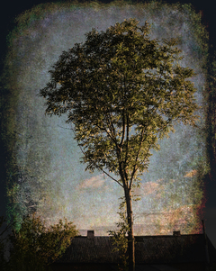 Я маю трохи неба