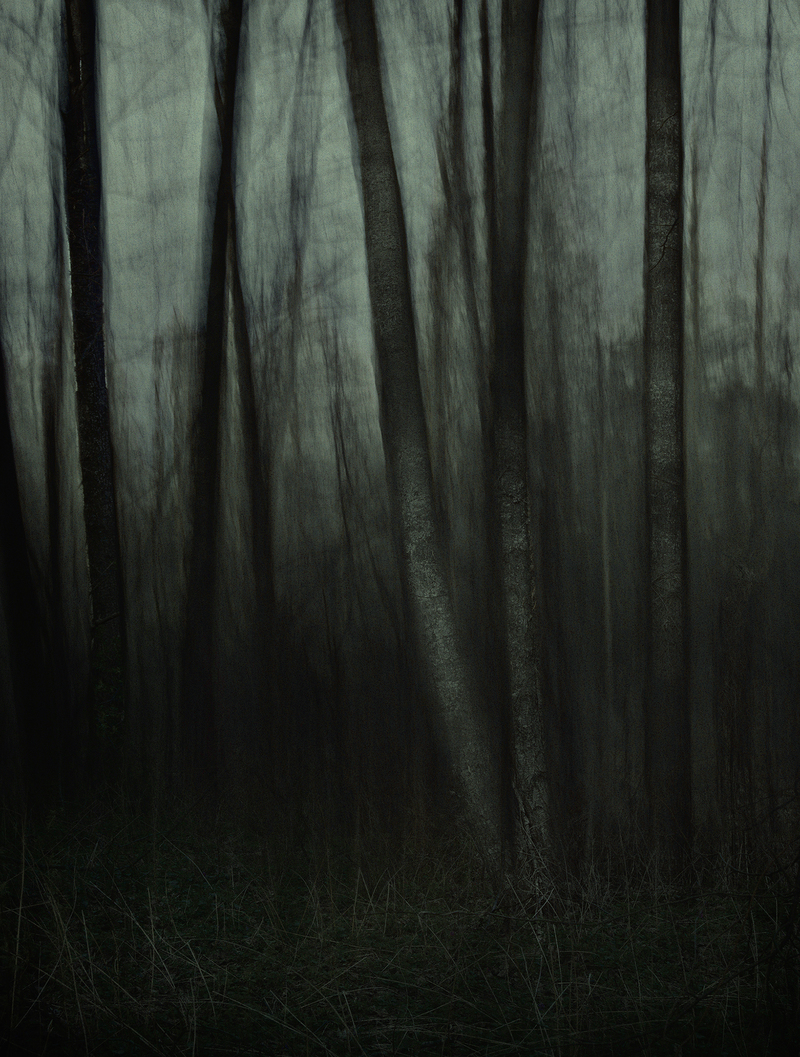 Печальний ліс