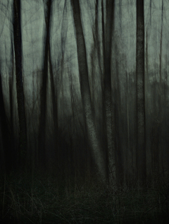 Печальний ліс