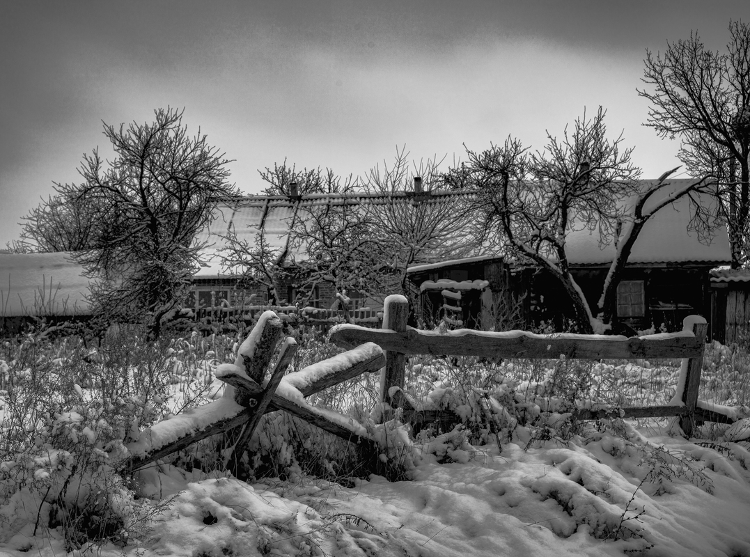 Зими звичайна мить